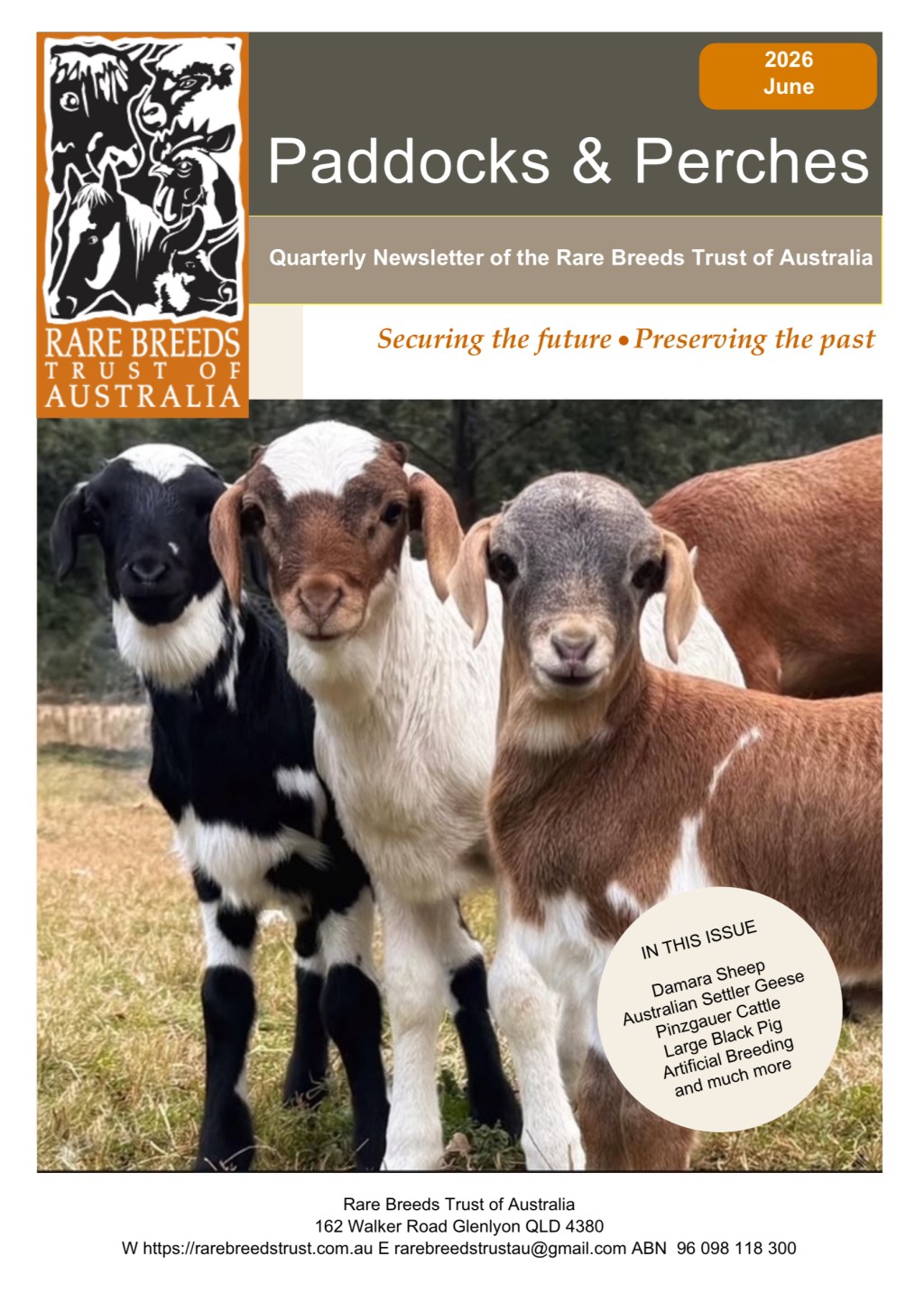 Rare Breeds Trust Features Damara: Read Our Article!