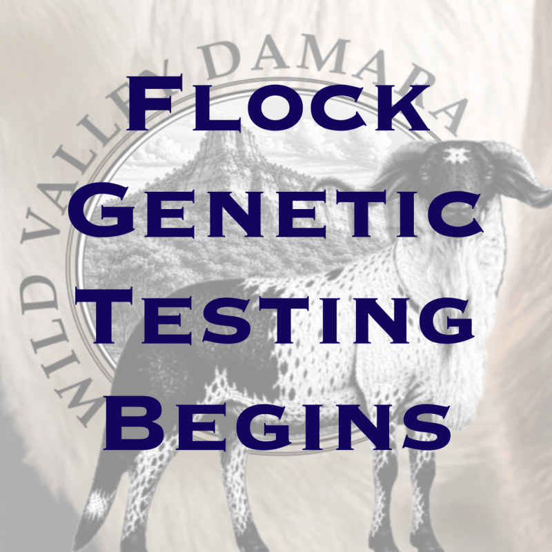 Genetic Testing Begins!